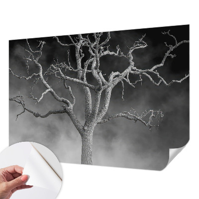 Papel de parede 3D Árvore enevoada