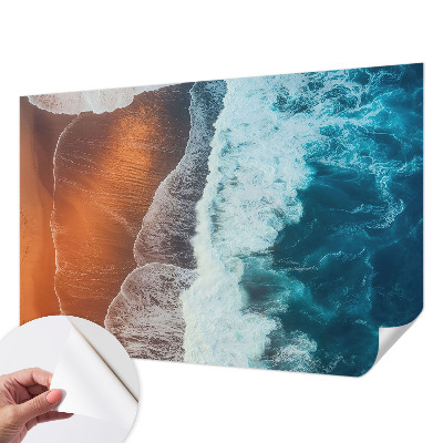 Autocolante de parede fotográfico com motivo de simbiose marinha