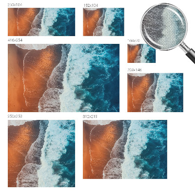 Autocolante de parede fotográfico com motivo de simbiose marinha
