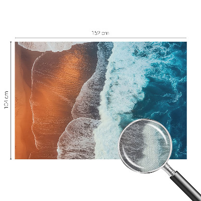 Autocolante de parede fotográfico com motivo de simbiose marinha