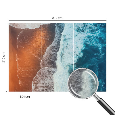 Autocolante de parede fotográfico com motivo de simbiose marinha