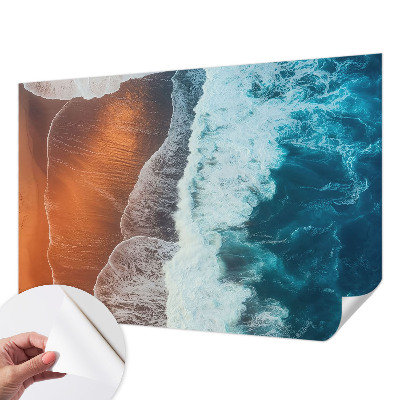 Autocolante de parede fotográfico com motivo de simbiose marinha