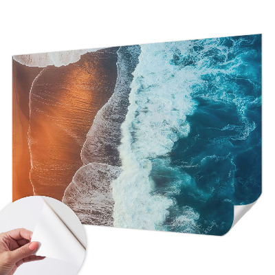 Autocolante de parede fotográfico com motivo de simbiose marinha