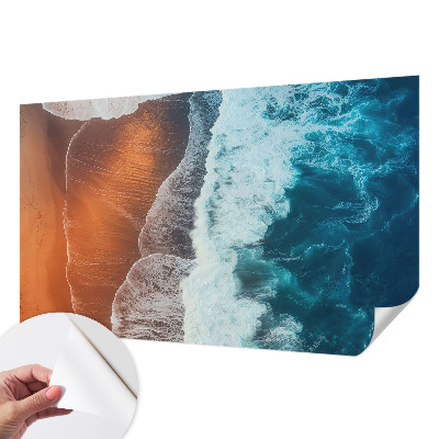 Autocolante de parede fotográfico com motivo de simbiose marinha