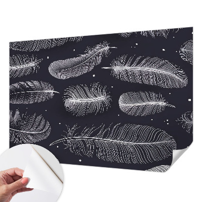 Papel de parede 3D penas sutis