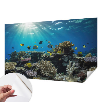 Papel de parede infantil com tema de mundo subaquático