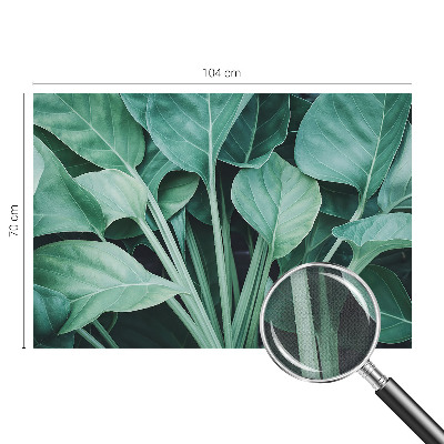 Autocolante de parede fotográfico Natureza verde