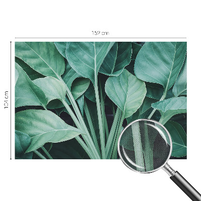 Autocolante de parede fotográfico Natureza verde