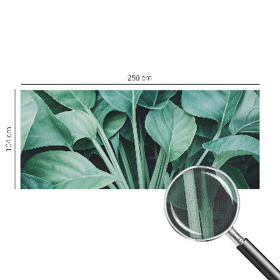 Autocolante de parede fotográfico Natureza verde