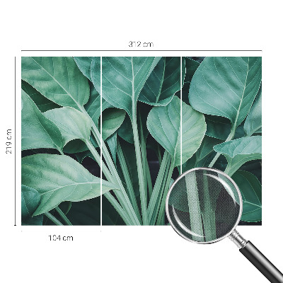 Autocolante de parede fotográfico Natureza verde
