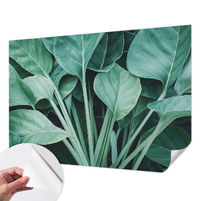 Autocolante de parede fotográfico Natureza verde