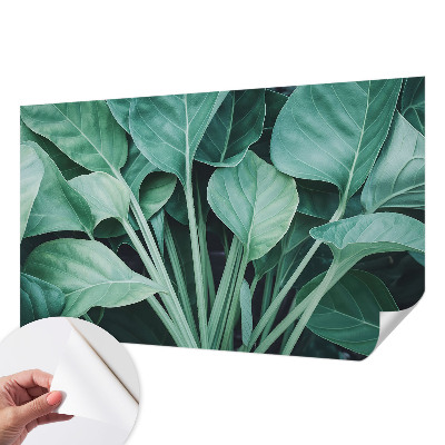 Autocolante de parede fotográfico Natureza verde