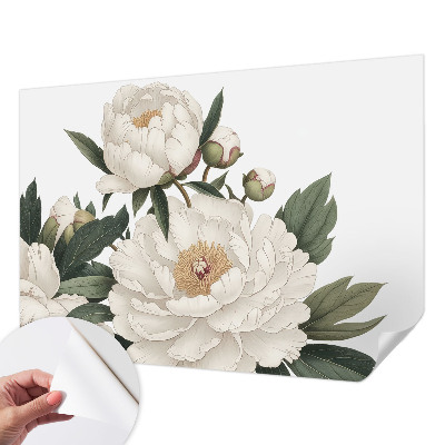 Autocolante de parede fotográfico peônias brancas
