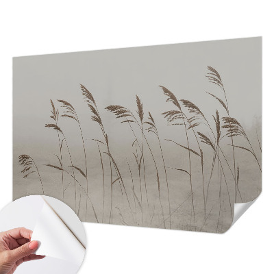Papel de parede autocolante para quarto Grama na neblina