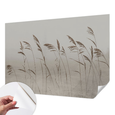 Papel de parede autocolante para quarto Grama na neblina