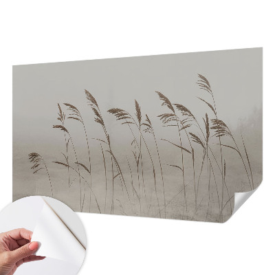 Papel de parede autocolante para quarto Grama na neblina