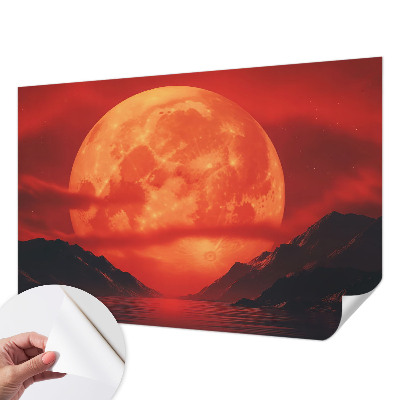 Papel de parede 3D com estampa 'Fenômeno noturno'