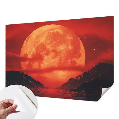 Papel de parede 3D com estampa 'Fenômeno noturno'