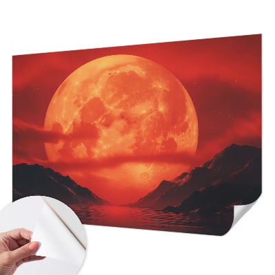 Papel de parede 3D com estampa 'Fenômeno noturno'
