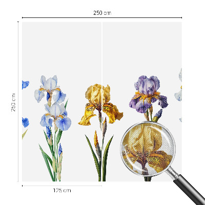 Papel de parede para criança Flores de íris