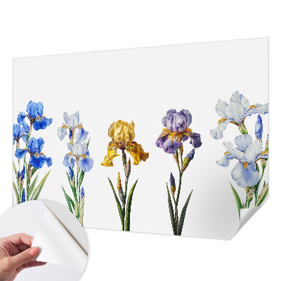 Papel de parede para criança Flores de íris