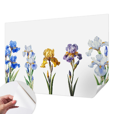 Papel de parede para criança Flores de íris