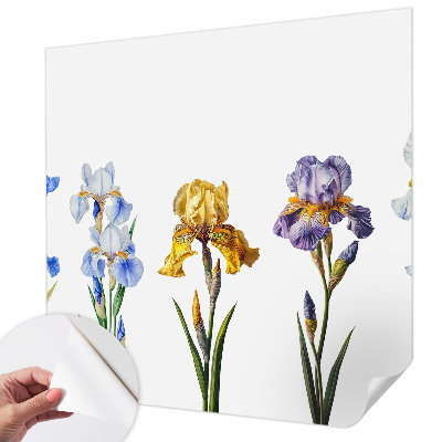 Papel de parede para criança Flores de íris