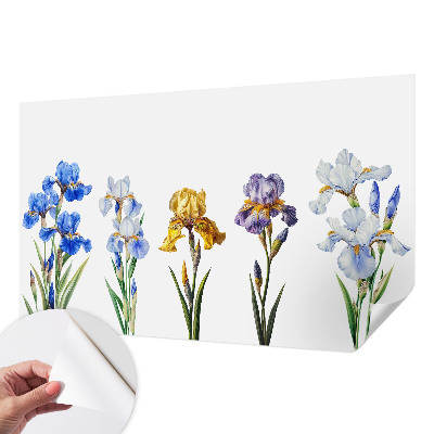Papel de parede para criança Flores de íris