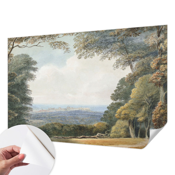 Papel de parede infantil Paisagem arborizada