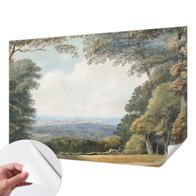 Papel de parede infantil Paisagem arborizada