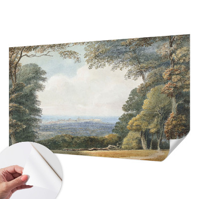 Papel de parede infantil Paisagem arborizada