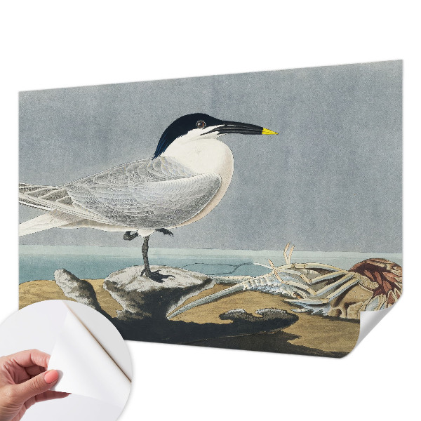 Papel de parede autocolante para sala Elegância ornitológica