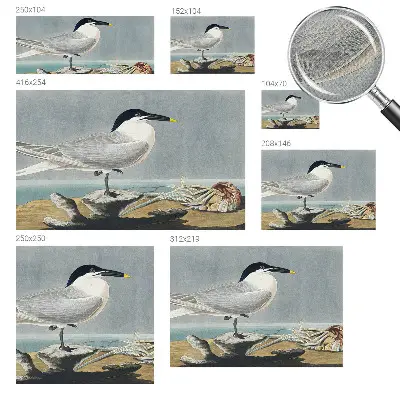 Papel de parede autocolante para sala com estampa de aves que traz elegância ao ambiente