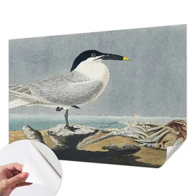 Papel de parede autocolante para sala com estampa de aves que traz elegância ao ambiente