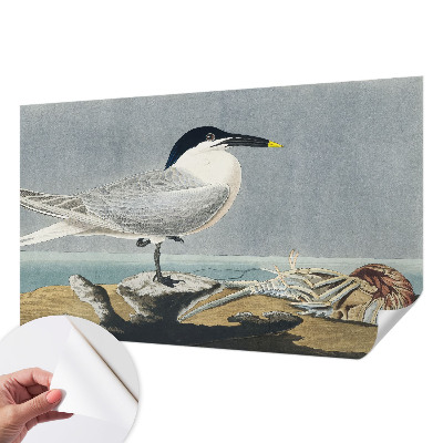 Papel de parede autocolante para sala Elegância ornitológica