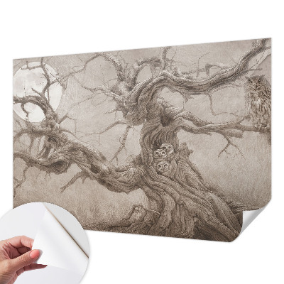 Papel de parede infantil Pássaros noturnos