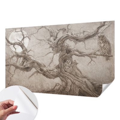Papel de parede infantil Pássaros noturnos