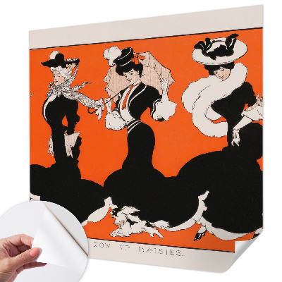 Autocolante de parede fotográfico Roupas femininas