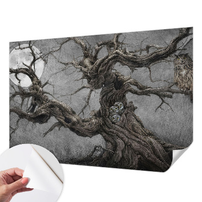 Papel de parede infantil Coruja misteriosa
