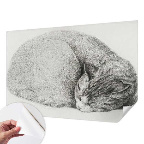 Autocolante de parede fotográfico Gato enrolado
