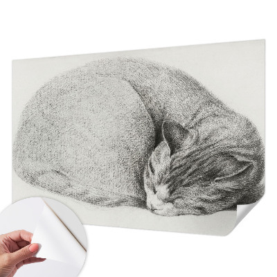 Autocolante de parede fotográfico Gato enrolado