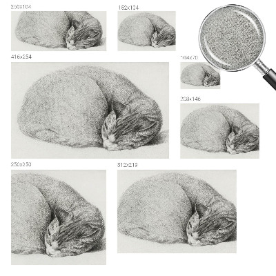 Autocolante de parede fotográfico Gato enrolado