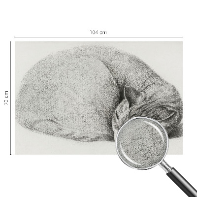 Autocolante de parede fotográfico Gato enrolado