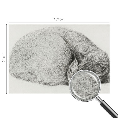 Autocolante de parede fotográfico Gato enrolado