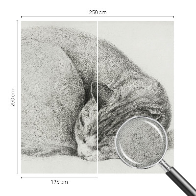 Autocolante de parede fotográfico Gato enrolado