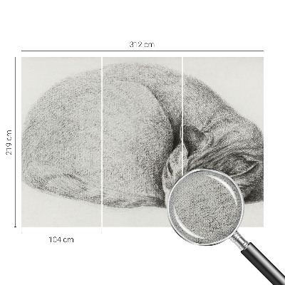 Autocolante de parede fotográfico Gato enrolado
