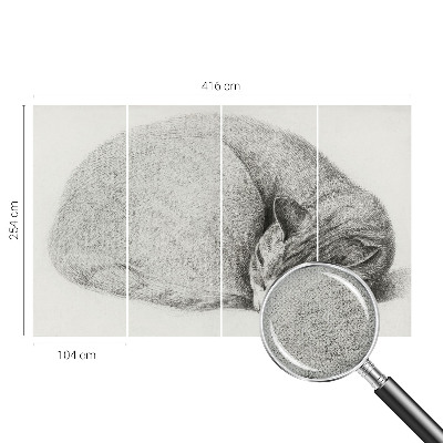 Autocolante de parede fotográfico Gato enrolado