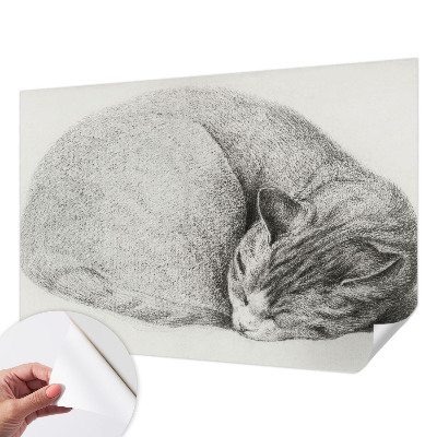 Autocolante de parede fotográfico Gato enrolado