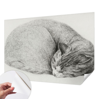 Autocolante de parede fotográfico Gato enrolado