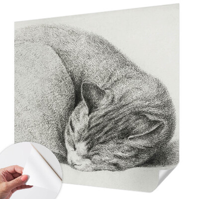 Autocolante de parede fotográfico Gato enrolado